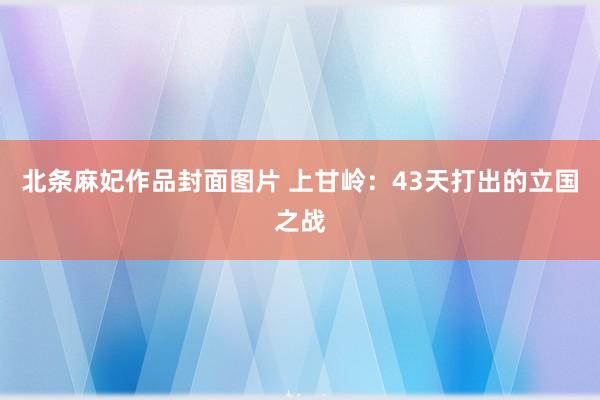 北条麻妃作品封面图片 上甘岭：43天打出的立国之战