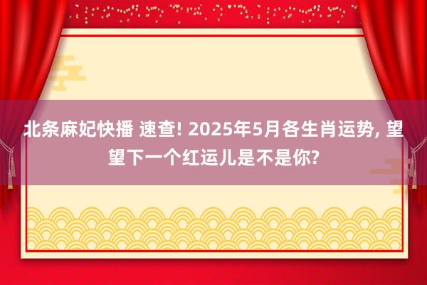 北条麻妃快播 速查! 2025年5月各生肖运势， 望望下一个红运儿是不是你?