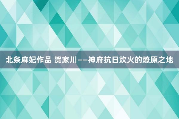 北条麻妃作品 贺家川——神府抗日炊火的燎原之地